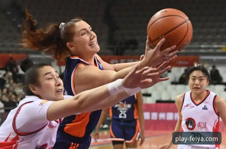 从一场17分大胜，剖析飞亚体育平台提供的3种深度观赛视角