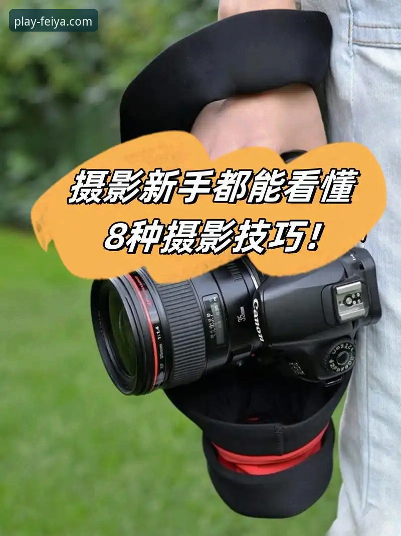 飞亚体育应用下载功能详解 深度揭秘飞亚体育应用下载功能:老用户亲测的隐藏玩法与实用技巧